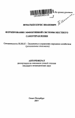 Формирование эффективной системы местного самоуправления - тема автореферата по экономике, скачайте бесплатно автореферат диссертации в экономической библиотеке