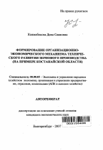 Формирование организационно-экономического механизма технического развития зернового производства - тема автореферата по экономике, скачайте бесплатно автореферат диссертации в экономической библиотеке