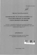 Формирование ресурсного потенциала в стратегии развития организаций сферы товарного обращения - тема автореферата по экономике, скачайте бесплатно автореферат диссертации в экономической библиотеке