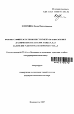 Формирование системы инструментов управления предпринимательским капиталом - тема автореферата по экономике, скачайте бесплатно автореферат диссертации в экономической библиотеке