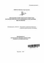 Управление конкурентоспособностью Воронежской области: принципы, направления совершенствования, инструменты - тема автореферата по экономике, скачайте бесплатно автореферат диссертации в экономической библиотеке