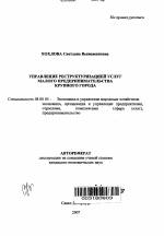 Управление реструктуризацией услуг малого предпринимательства крупного города - тема автореферата по экономике, скачайте бесплатно автореферат диссертации в экономической библиотеке