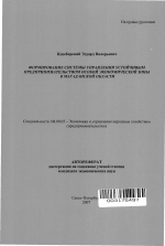 Формирование системы управления устойчивым предпринимательством особой экономической зоны в Магаданской области - тема автореферата по экономике, скачайте бесплатно автореферат диссертации в экономической библиотеке