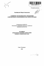 Развитие стратегического управления современным предпринимательством в регионе - тема автореферата по экономике, скачайте бесплатно автореферат диссертации в экономической библиотеке