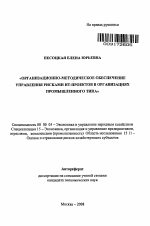 Организационно-методическое обеспечение управления рисками ИТ-проектов в организациях промышленного типа - тема автореферата по экономике, скачайте бесплатно автореферат диссертации в экономической библиотеке