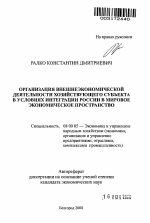 Организация внешнеэкономической деятельности хозяйствующего субъекта в условиях интеграции России в мировое экономическое пространство - тема автореферата по экономике, скачайте бесплатно автореферат диссертации в экономической библиотеке