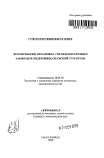 Формирование механизма управления сетевым развитием предпринимательской структуры - тема автореферата по экономике, скачайте бесплатно автореферат диссертации в экономической библиотеке