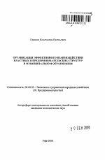 Организация эффективного взаимодействия властных и предпринимательских структур в муниципальном образовании - тема автореферата по экономике, скачайте бесплатно автореферат диссертации в экономической библиотеке