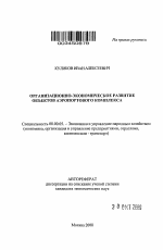 Организационно-экономическое развитие объектов аэропортового комплекса - тема автореферата по экономике, скачайте бесплатно автореферат диссертации в экономической библиотеке