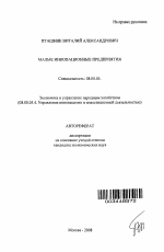 Малые инновационные предприятия - тема автореферата по экономике, скачайте бесплатно автореферат диссертации в экономической библиотеке