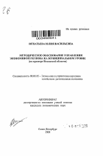 Методическое обоснование управления экономикой региона на муниципальном уровне - тема автореферата по экономике, скачайте бесплатно автореферат диссертации в экономической библиотеке