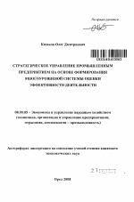 Стратегическое управление промышленным предприятием на основе формирования многоуровневой системы оценки эффективности деятельности - тема автореферата по экономике, скачайте бесплатно автореферат диссертации в экономической библиотеке