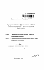 Формирование механизма эффективного взаимодействия элементов инфраструктуры и финансово-кредитной системы региона - тема автореферата по экономике, скачайте бесплатно автореферат диссертации в экономической библиотеке
