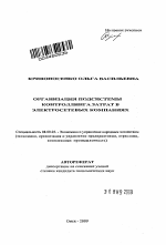 Организация подсистемы контроллинга затрат в электросетевых компаниях - тема автореферата по экономике, скачайте бесплатно автореферат диссертации в экономической библиотеке