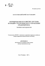 Формирование и развитие системы функций стратегического управления предприятием: теория и методология - тема автореферата по экономике, скачайте бесплатно автореферат диссертации в экономической библиотеке