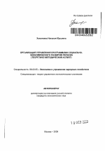 Организация управления программами социально-экономического развития региона - тема автореферата по экономике, скачайте бесплатно автореферат диссертации в экономической библиотеке