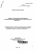 Теория и методология эффективного функционирования регионального энергетического комплекса - тема автореферата по экономике, скачайте бесплатно автореферат диссертации в экономической библиотеке