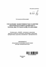 Управление эффективностью развития нефтепродуктового комплекса: теория, инструментарий, реализация - тема автореферата по экономике, скачайте бесплатно автореферат диссертации в экономической библиотеке