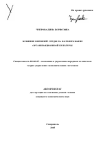 Влияние внешней среды на формирование организационной культуры - тема автореферата по экономике, скачайте бесплатно автореферат диссертации в экономической библиотеке