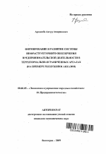 Формирование и развитие системы инфраструктурного обеспечения предпринимательской деятельности в территориально-ограниченных ареалах - тема автореферата по экономике, скачайте бесплатно автореферат диссертации в экономической библиотеке