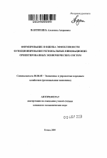 Формирование и оценка эффективности функционирования региональных инновационно ориентированных экономических систем - тема автореферата по экономике, скачайте бесплатно автореферат диссертации в экономической библиотеке