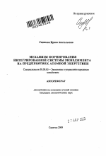 Механизм формирования интегрированной системы менеджмента на предприятиях атомной энергетики - тема автореферата по экономике, скачайте бесплатно автореферат диссертации в экономической библиотеке