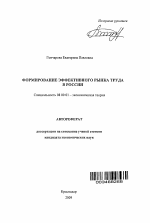 Формирование эффективного рынка труда в России - тема автореферата по экономике, скачайте бесплатно автореферат диссертации в экономической библиотеке