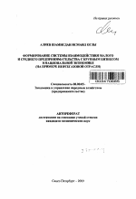 Формирование системы взаимодействия малого и среднего предпринимательства с крупным бизнесом в национальной экономике - тема автореферата по экономике, скачайте бесплатно автореферат диссертации в экономической библиотеке