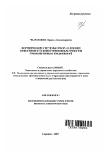 Формирование системы отбора и оценки эффективности инвестиционных проектов промышленных предприятий - тема автореферата по экономике, скачайте бесплатно автореферат диссертации в экономической библиотеке