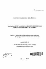 Адаптивное управление компаниями в условиях кризисных явлений в экономике - тема автореферата по экономике, скачайте бесплатно автореферат диссертации в экономической библиотеке