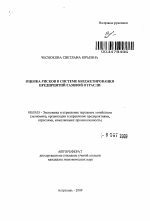 Оценка рисков в системе бюджетирования предприятий газовой отрасли - тема автореферата по экономике, скачайте бесплатно автореферат диссертации в экономической библиотеке