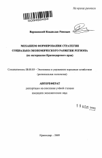 Механизм формирования стратегии социально-экономического развития региона - тема автореферата по экономике, скачайте бесплатно автореферат диссертации в экономической библиотеке