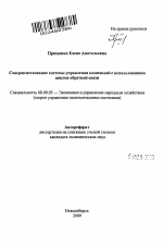 Совершенствование системы управления компанией с использованием циклов обратной связи - тема автореферата по экономике, скачайте бесплатно автореферат диссертации в экономической библиотеке