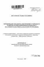 Формирование механизма обеспечения устойчивого развития агропромышленного комплекса - тема автореферата по экономике, скачайте бесплатно автореферат диссертации в экономической библиотеке