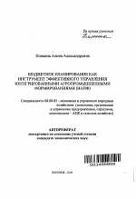 Бюджетное планирование как инструмент эффективного управления интегрированными агропромышленными формированиями (ИАПФ) - тема автореферата по экономике, скачайте бесплатно автореферат диссертации в экономической библиотеке