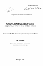 Совершенствование системы управления трудовым потенциалом промышленного предприятия в условиях рыночной экономики - тема автореферата по экономике, скачайте бесплатно автореферат диссертации в экономической библиотеке