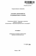 Сельские домохозяйства трудоизбыточного региона - тема автореферата по экономике, скачайте бесплатно автореферат диссертации в экономической библиотеке