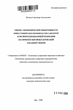 Оценка экономической эффективности инвестиций в воспроизводство сырьевой базы нефтедобывающей компании - тема автореферата по экономике, скачайте бесплатно автореферат диссертации в экономической библиотеке