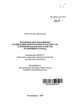 Формирование механизмов активизации межсекторного партнерства в экономическом пространстве крупнейшего города - тема автореферата по экономике, скачайте бесплатно автореферат диссертации в экономической библиотеке