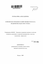 Комплексное управление хозяйственным риском на предприятиях индустрии туризма - тема автореферата по экономике, скачайте бесплатно автореферат диссертации в экономической библиотеке