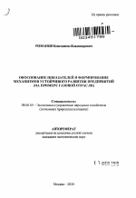 Обоснование показателей и формирование механизмов устойчивого развития предприятий - тема автореферата по экономике, скачайте бесплатно автореферат диссертации в экономической библиотеке