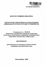 Обеспечение эффективного использования мобильных ресурсов торгового предприятия - тема автореферата по экономике, скачайте бесплатно автореферат диссертации в экономической библиотеке