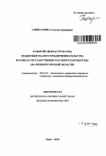 Развитие инфраструктуры поддержки малого предпринимательства в рамках государственно-частного партнерства - тема автореферата по экономике, скачайте бесплатно автореферат диссертации в экономической библиотеке