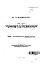 Управление социально-экономической системой мезоуровня в условиях межрегиональной дифференциации - тема автореферата по экономике, скачайте бесплатно автореферат диссертации в экономической библиотеке