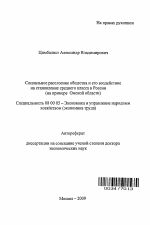 Социальное расслоение общества и его воздействие на становление среднего класса в России - тема автореферата по экономике, скачайте бесплатно автореферат диссертации в экономической библиотеке