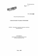 Социализация трудовых отношений - тема автореферата по экономике, скачайте бесплатно автореферат диссертации в экономической библиотеке