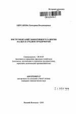 Инструментарий эффективного развития малых и средних предприятий - тема автореферата по экономике, скачайте бесплатно автореферат диссертации в экономической библиотеке