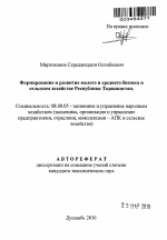 Формирование и развитие малого и среднего бизнеса в сельском хозяйстве Республики Таджикистан - тема автореферата по экономике, скачайте бесплатно автореферат диссертации в экономической библиотеке