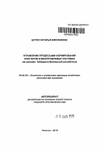 Управление процессами формирования кластеров в мезоуровневых системах - тема автореферата по экономике, скачайте бесплатно автореферат диссертации в экономической библиотеке