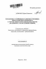 Управление устойчивым развитием топливно-энергетического комплекса с учетом энергетической безопасности - тема автореферата по экономике, скачайте бесплатно автореферат диссертации в экономической библиотеке